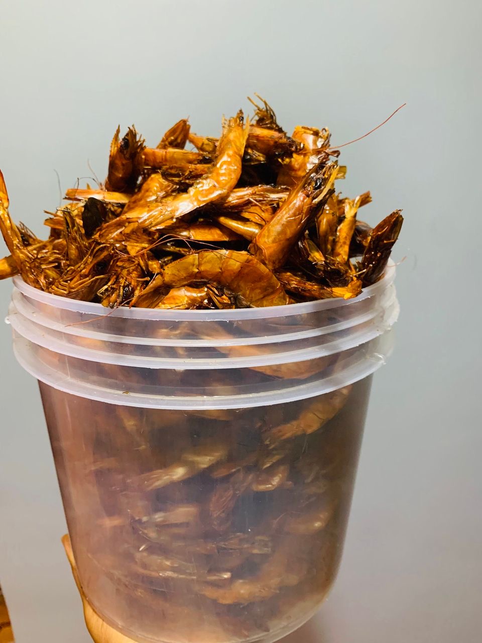 75499242-901d-4303-a3ce-f4c034d17e5c